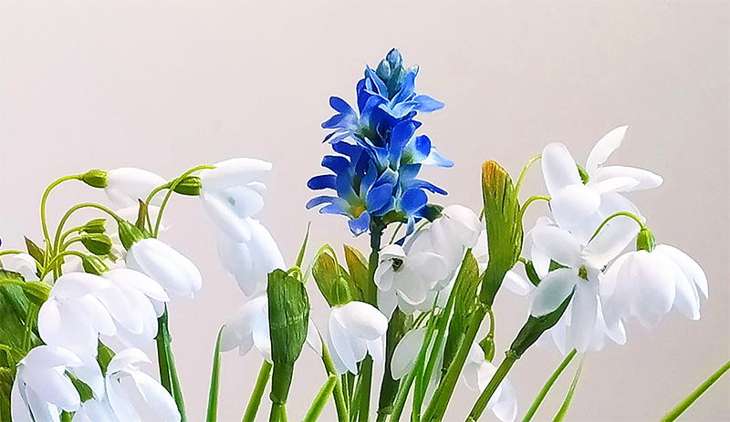 Sztuczne kwiaty - Śnieżyczka przebiśnieg - wiosenny bukiecik