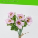 anemony jasno różowe - imitacje