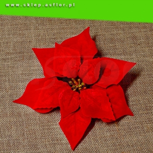 Gwiazda betlejemska - kwiat sztuczny
